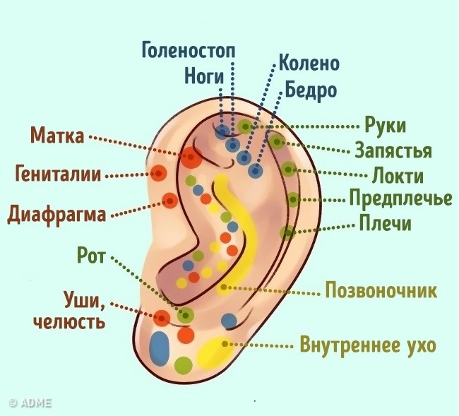 Узнайте, что ваши уши говорят о вас - Женский Блог